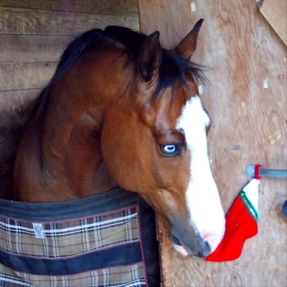 Meet your Posher, Rachel - Picture 1 of 1